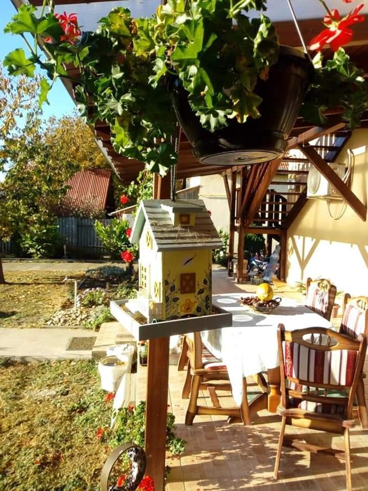 Holt-Tisza Vendeghaz Ξενοδοχείο Σέγκεντ Εξωτερικό φωτογραφία
